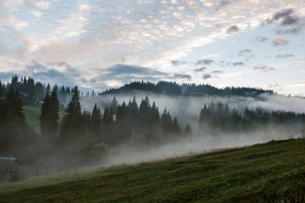 istock Misty landscape in the Carpathians 1287019224