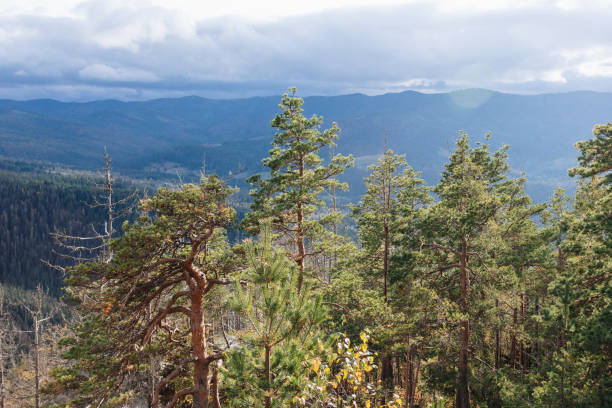 istock Beautiful landscape in the Carpathians 1287019278