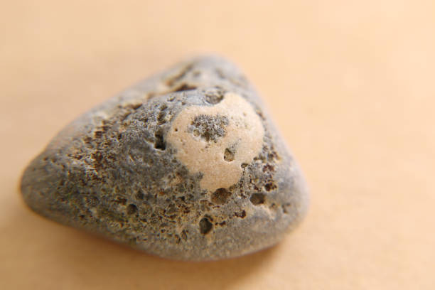 This are Stones in studio photographed with flash and macro lens