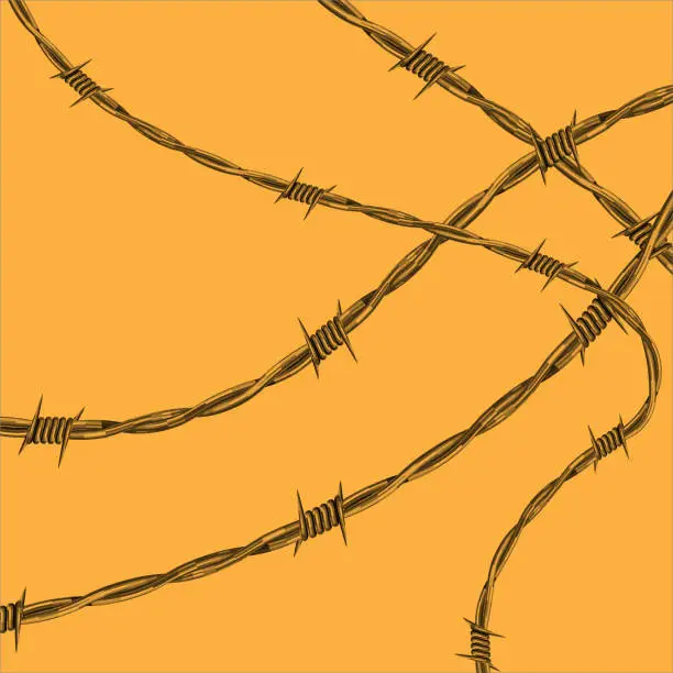 Vector illustration of Vector illustration of barbed wire.