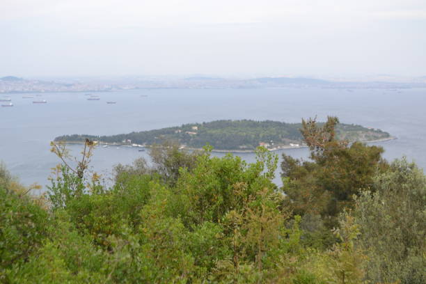 istock Buyukada, Prince Islands, Istanbul, Turkey 1287028295