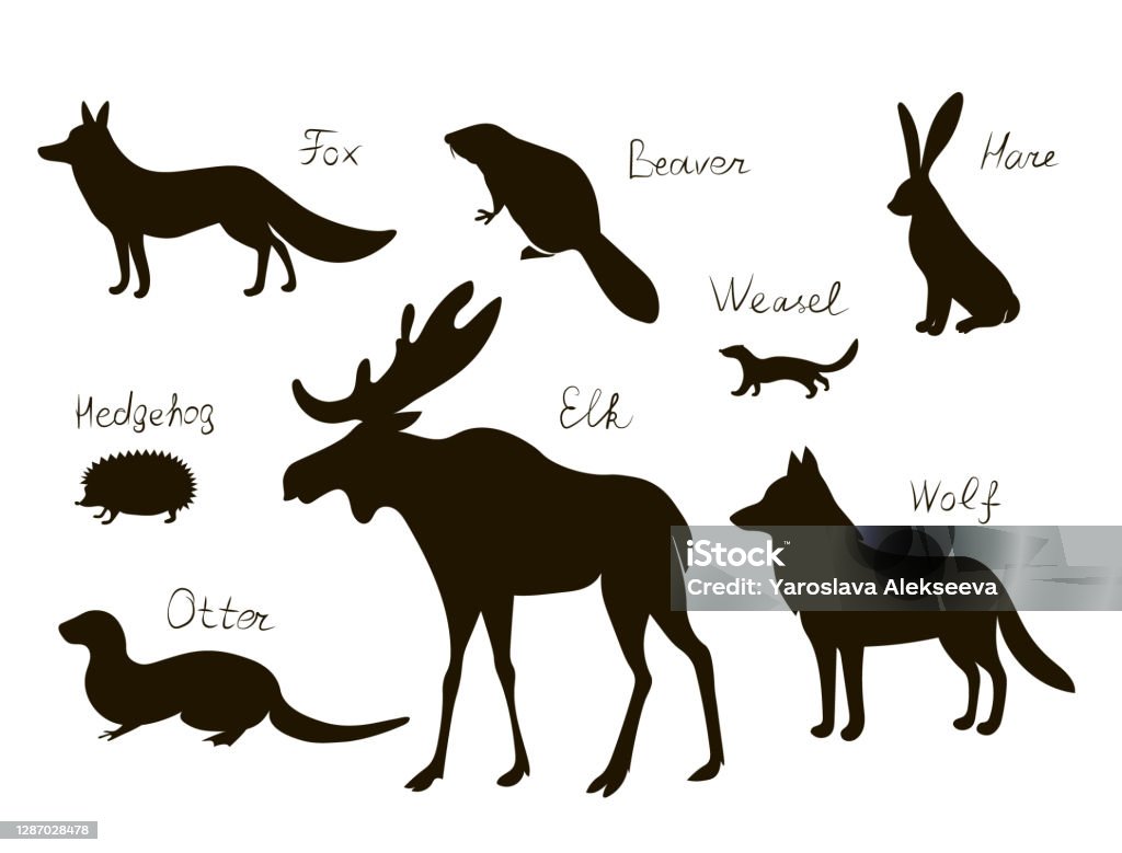 Forest North Animals Vector Black Drawing Silhouette Image Set Stock  Illustration - Download Image Now - iStock