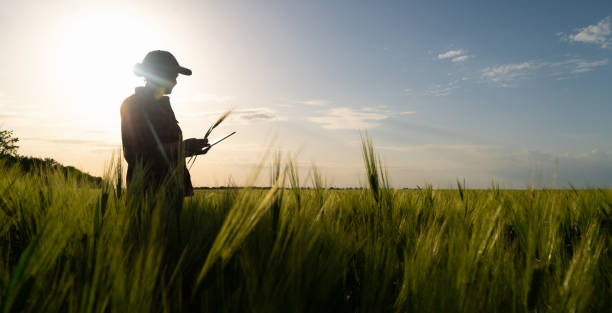 istock Woman farmer with a digital tablet 1287029263