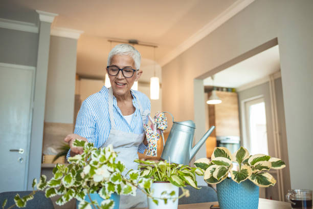 istock Active senior woman enjoying planting 1287040243