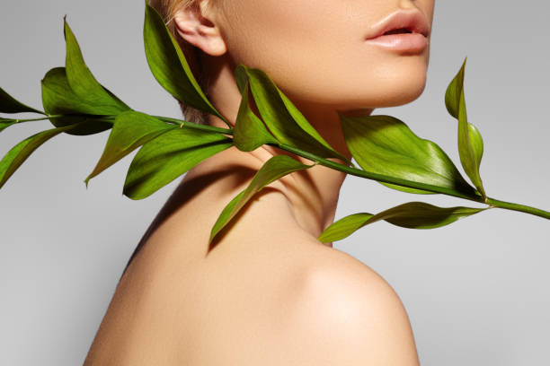 beautiful woman applies organic cosmetic. spa and wellness. model with clean skin. healthcare. picture with leaf - leaf epidermis imagens e fotografias de stock