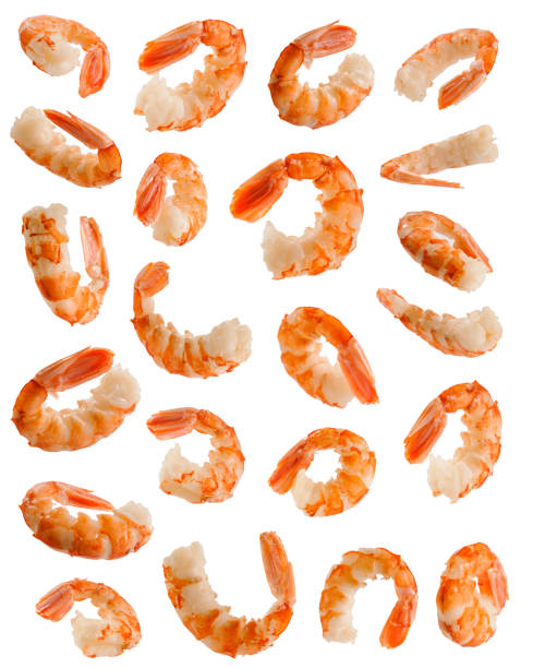 fried shrimp on fork minimal photography in white background