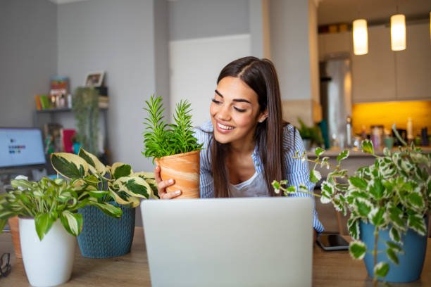 istock Beautiful young woman caring for her plants. 1287042737