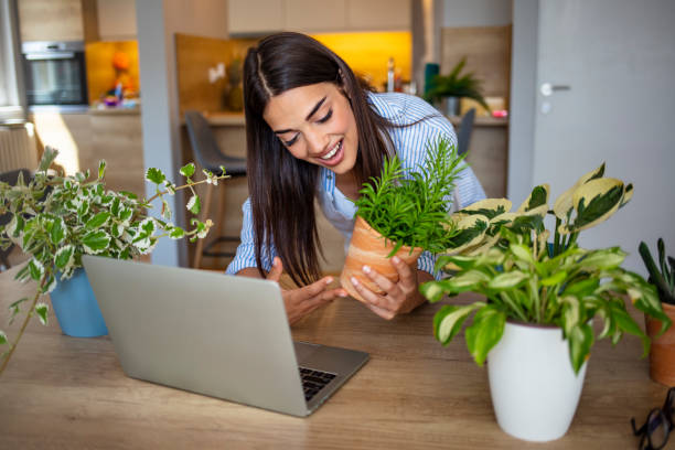 istock Beautiful young woman caring for her plants 1287042958