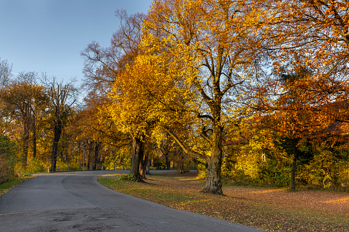 Colourful German woods cape in autumn sunshine