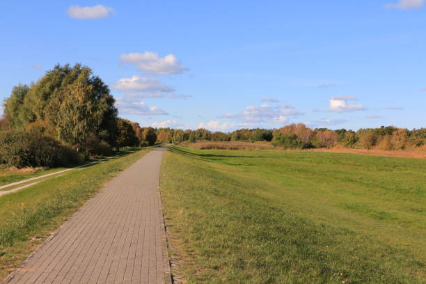 istock Beautiful natural landscape around Zingst on the Baltic Sea 1287043371