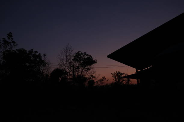 The sun is about to set during the end of the day. The light condition plus camera setting give silhouette effect to this photo.