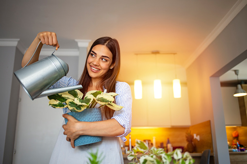 Woman watering flowers. Happy young woman watering plant using sprinkling can, smiling. Spring concept - portrait of  woman watering potted plants at home