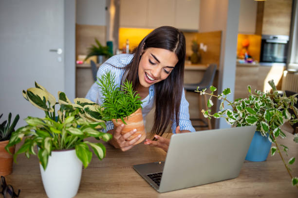 istock Beautiful young woman caring for her plants. 1287045514