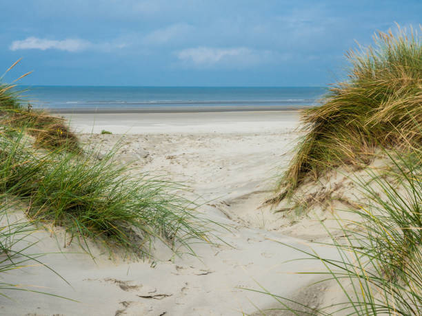 istock View over the dunes of Ameland, Holland 1287046175