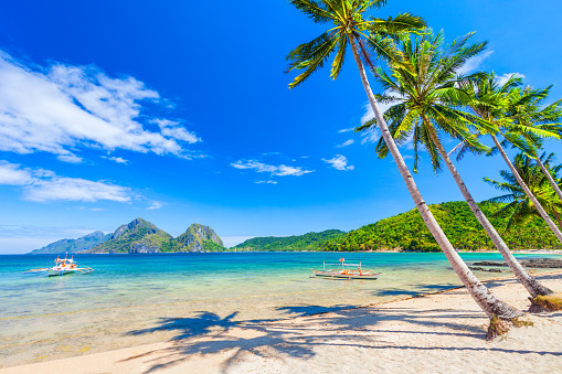 Beach with white sand, coconut palms and turquoise water in El Nido province, Palawan island in Philippines