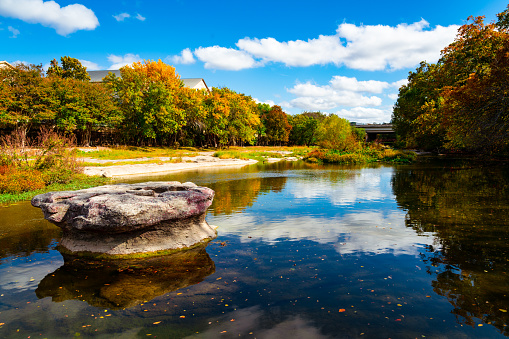 Fall Autumn Landscape - Round Rock Fall Leaves floating down the River outside of Austin , Texas , USA