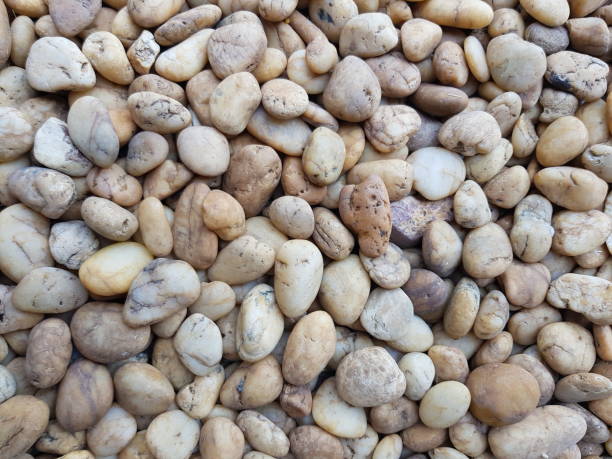The brown stone background is arranged in a natural and beautiful background.