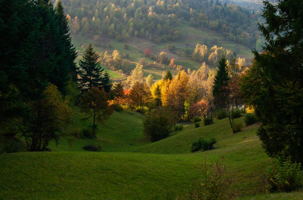 A lovely early morning. Sunrise in the mountains. Play of light and shadow.