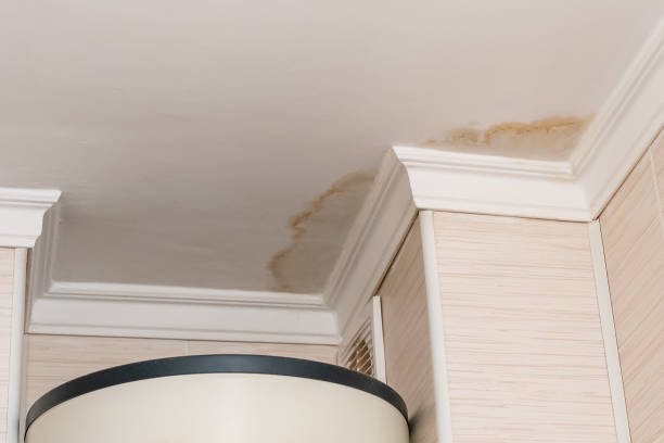 i vicini hanno una perdita d'acqua, soffitto danneggiato dall'acqua, primo-up di una macchia sul soffitto - water stain foto e immagini stock