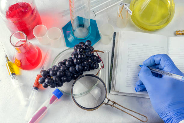 experiments with grape fruits in the laboratory. the hand of a scientist writes in a notebook. - injecting healthy eating laboratory dna imagens e fotografias de stock