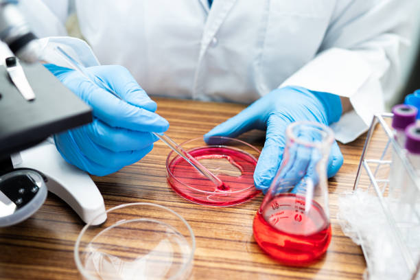 istock Scientist analysis micro biological sample outbreak Coronavirus or Covid-19 infectious in laboratory for doctor in the world. 1287053095