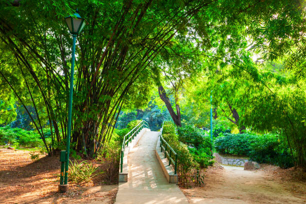 istock Lodi Gardens park in New Delhi 1287053532