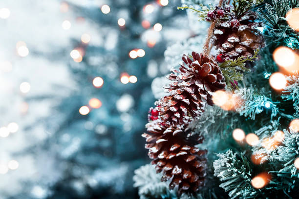 istock Blurred three cones on a branch on a green background 1287053803