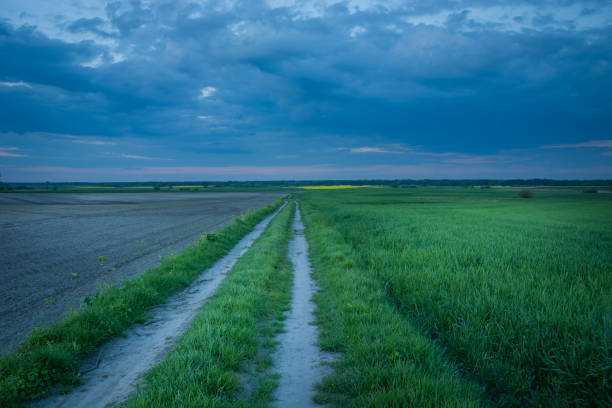 istock Country road through fields and dark evening clouds 1287054150