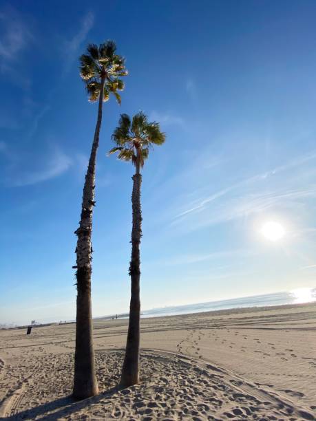 istock Dockweiler State Beach, Los Angeles, USA 1287057589