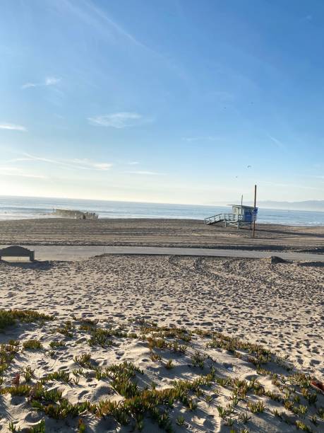 istock Dockweiler State Beach, Los Angeles, USA 1287059787