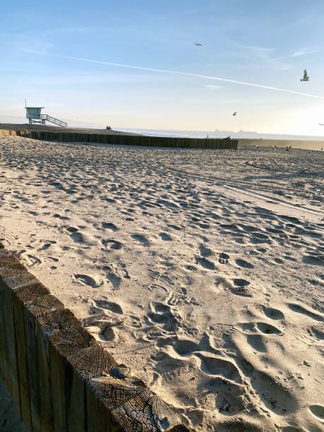 istock Dockweiler State Beach, Los Angeles, USA 1287060248