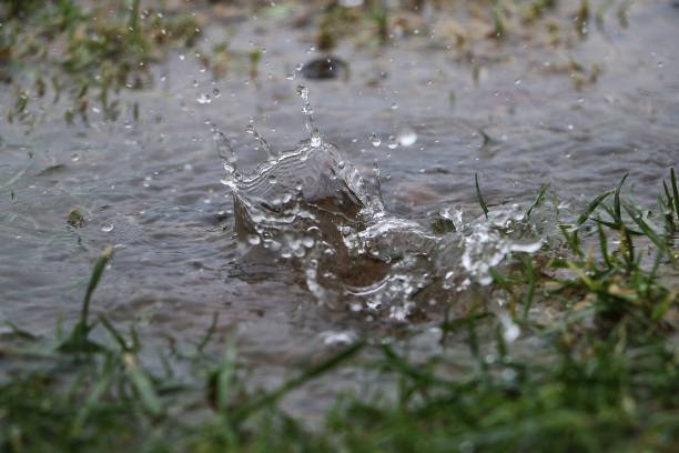 istock rain is faling in a puddle in the garden 1287061367