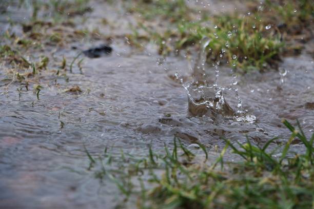 istock rain is faling in a puddle in the garden 1287061371