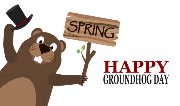 해피 그라운드호그 데이. 실린더 모자와 문자 스프링이 있는 표지판을 들고 있는 그라운드호그 - groundhog day stock illustrations