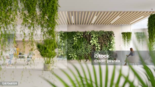 Green Office Stock Photo - Download Image Now - Office, Environmental Conservation, Green Color