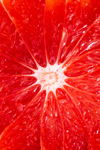 Grapefruit citrus fruit half cut macro texture detail full frame cross section