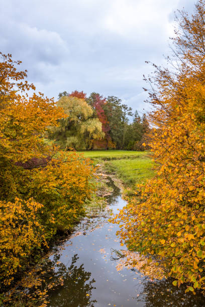 istock Autumn colors in the park 1287070366