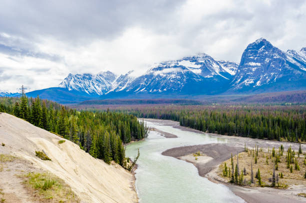 istock Forest and river in valley near mountains under clouds. 1287072398
