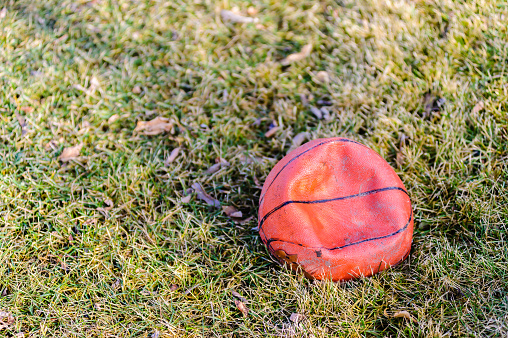 Deflated dirty orange basketball on grass.