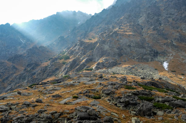 istock Great Cold Valley in Vysoke Tatry (High Tatras), Slovakia. 1287073403