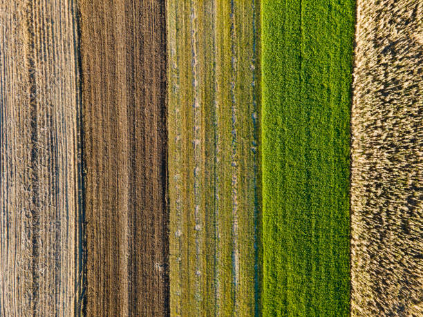 istock Different Colors of Agricultural Fields From Directly Above 1287073549
