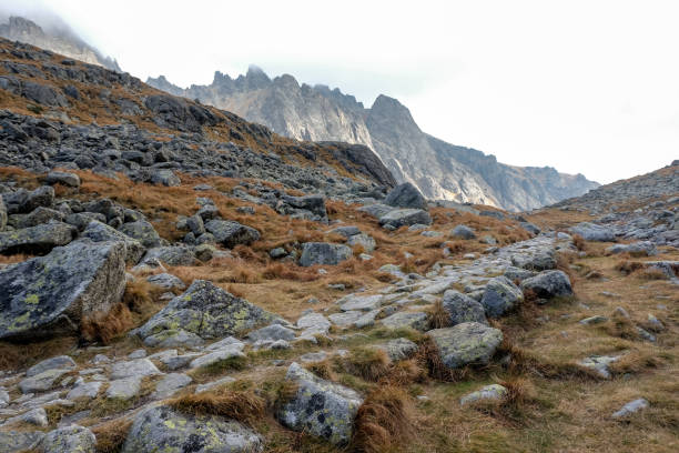istock Great Cold Valley in Vysoke Tatry (High Tatras), Slovakia. 1287073554