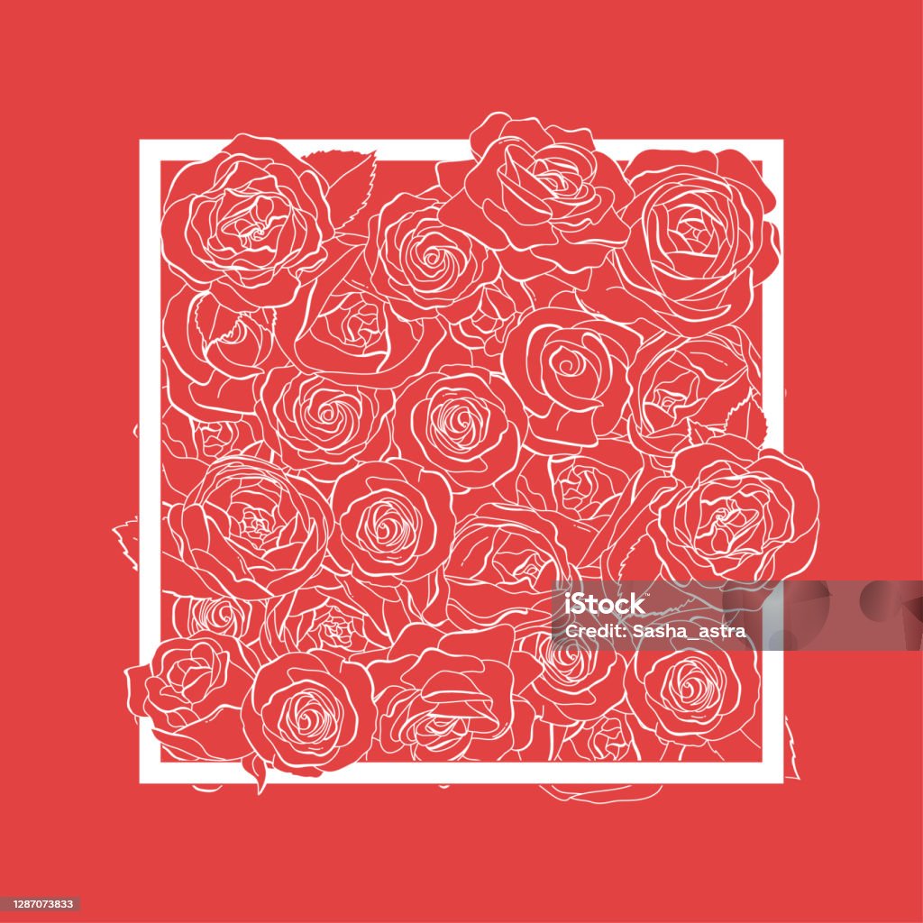 1000 Roses Background Square Square Frame With Rose Flowers On A Red Background Stock Illustration ...