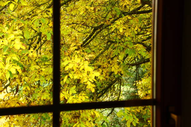 istock Autumn in Horb am Neckar 1287075198