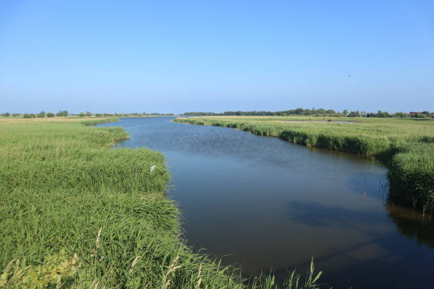 istock on fehmarn on the baltic sea 1287076731