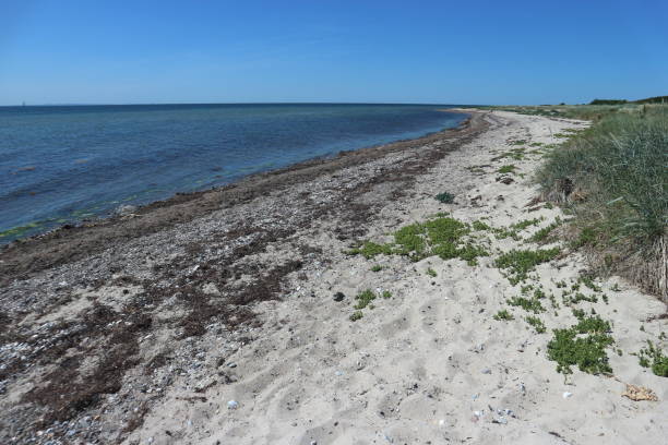 istock on fehmarn on the baltic sea 1287076795