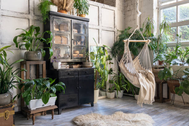 acogedor columpio de cuerda en la sala de estar con plantas de la casa - planta de interior fotografías e imágenes de stock