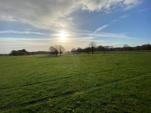 istock A view of the Cheshire Countryside 1287079367
