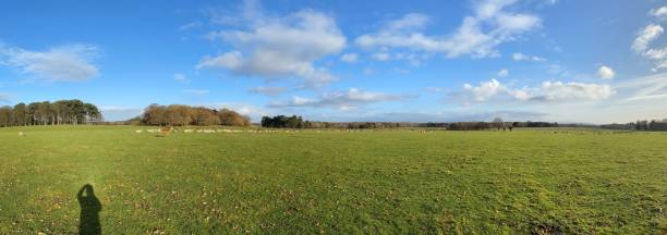istock A view of the Cheshire Countryside 1287079418
