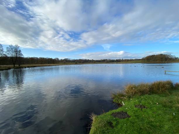 istock A view of the Cheshire Countryside 1287079542